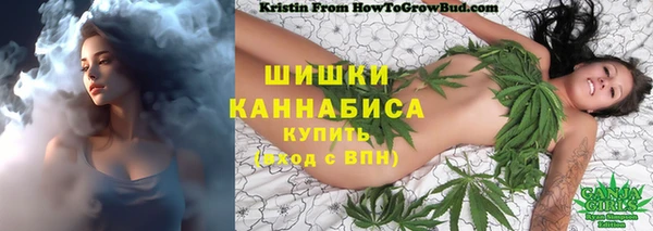 стафф Кинешма