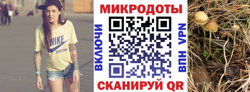 Купить где  Лаишево  Псилоцибиновые грибы мухоморы 